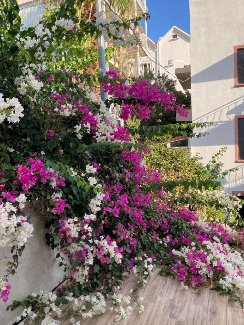 Paydos Pansiyon Kaş Exteriér fotografie